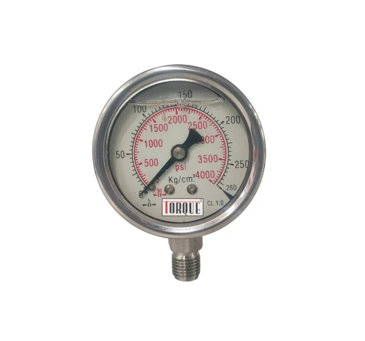Pressure Gauge